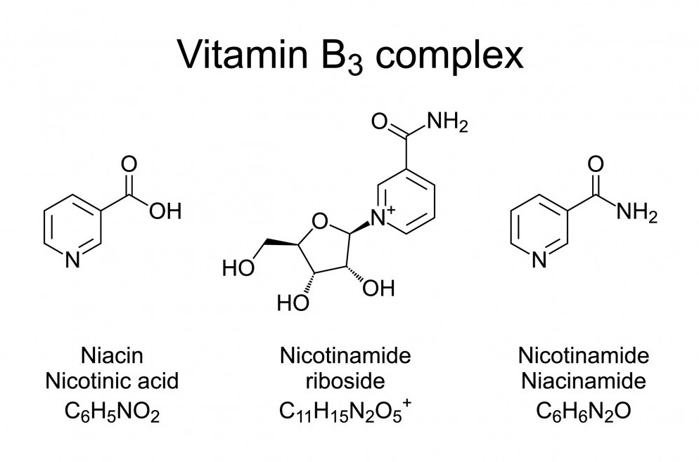 forms of vitamin B3